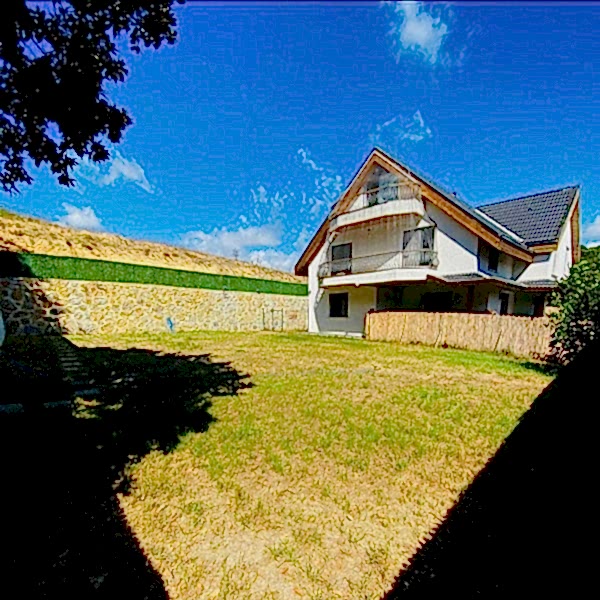 Neşeli Köpek Pansiyonu